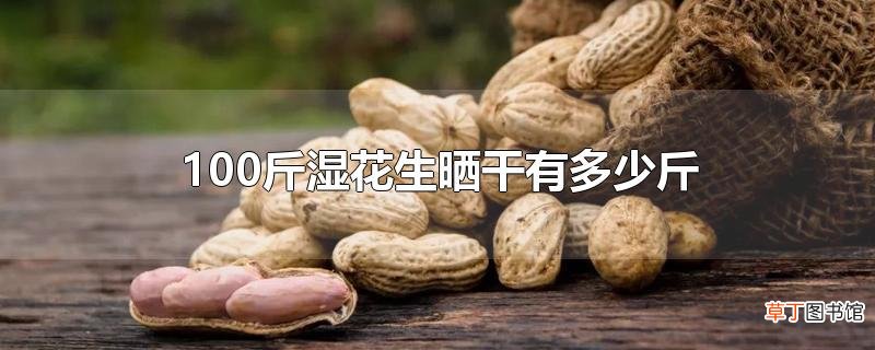 100斤湿花生晒干有多少斤