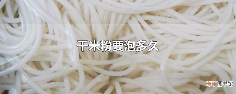 干米粉要泡多久