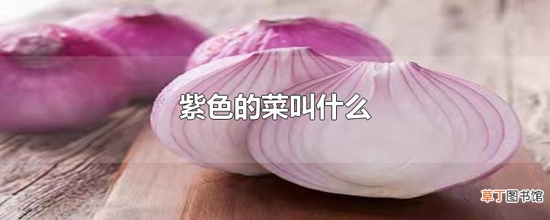 紫色的菜叫什么