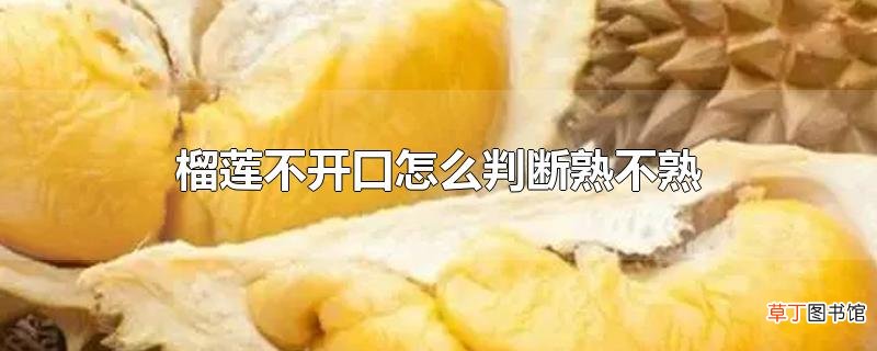 榴莲不开口怎么判断熟不熟