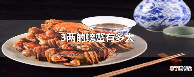 3两的螃蟹有多大