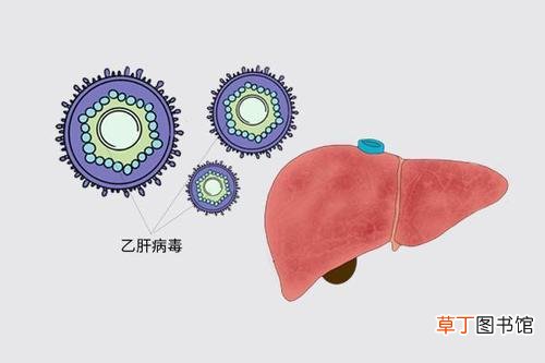 乙肝自愈前兆症状是什么-乙肝自愈前会有什么症状