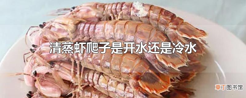 清蒸虾爬子是开水还是冷水