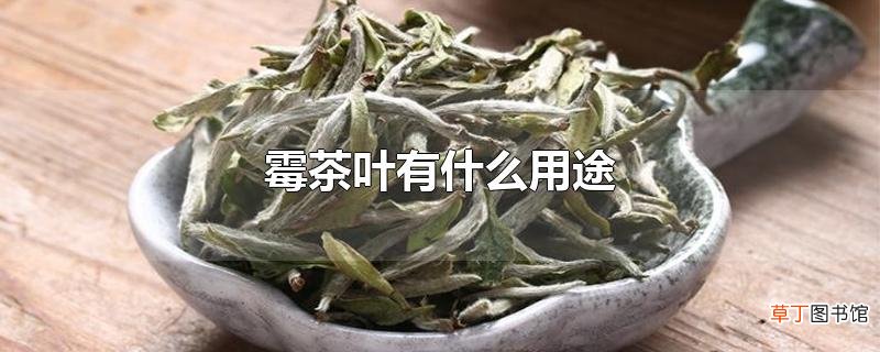 霉茶叶有什么用途