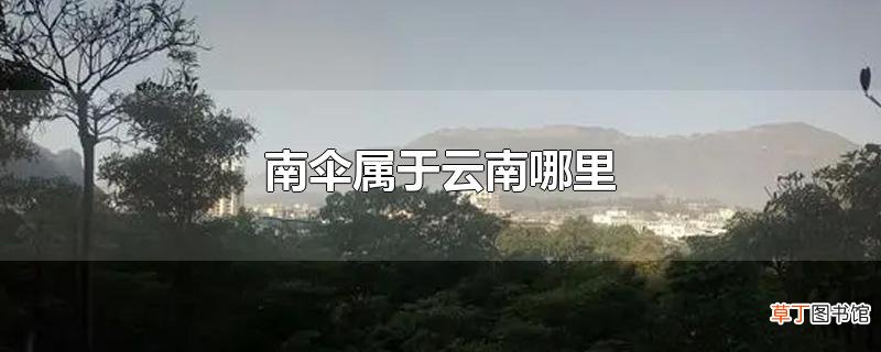 南伞属于云南哪里