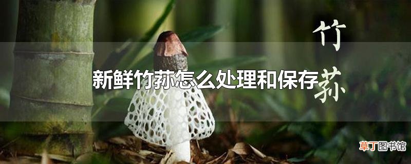 新鲜竹荪怎么处理和保存