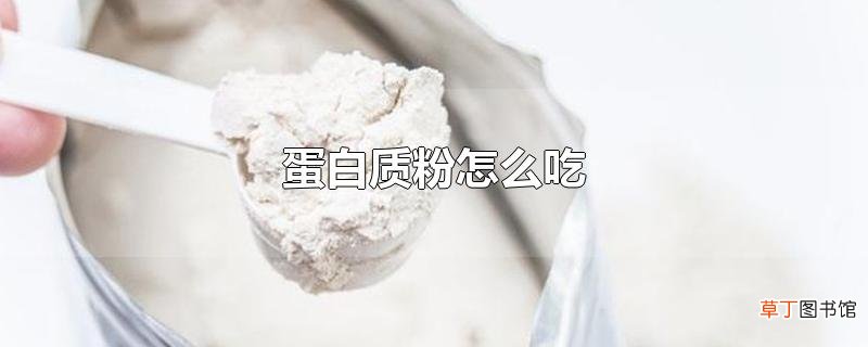 蛋白质粉怎么吃