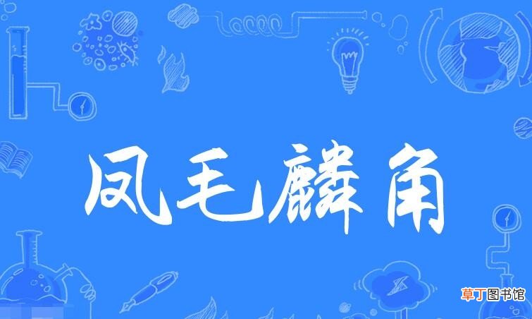 形容数量少的成语有哪些