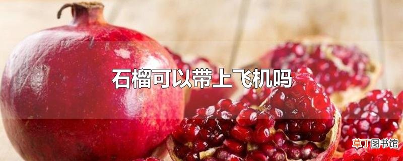 石榴可以带上飞机吗