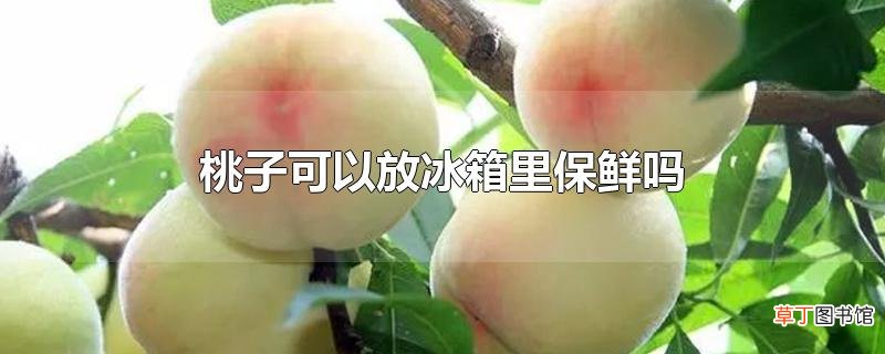 桃子可以放冰箱里保鲜吗