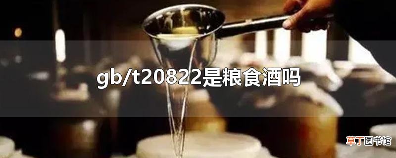 gb/t20822是粮食酒吗