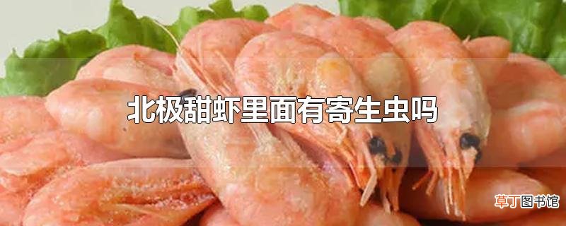 北极甜虾里面有寄生虫吗