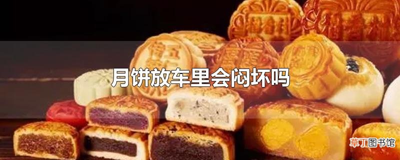 月饼放车里会闷坏吗