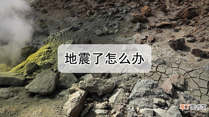 地震来了怎么保护自己
