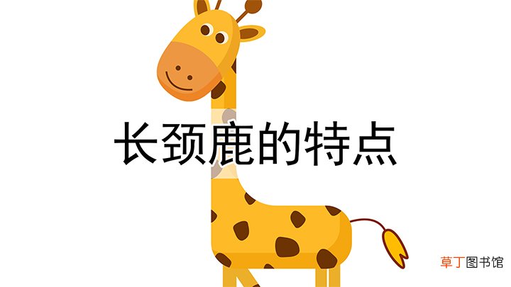长颈鹿的特点描写