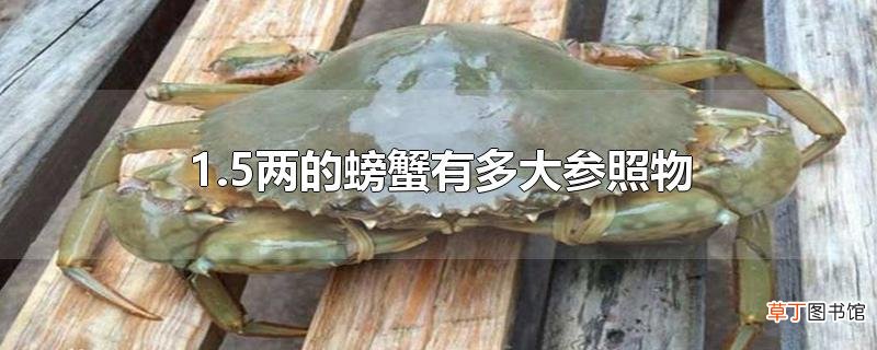 1.5两的螃蟹有多大参照物