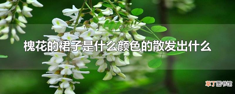 槐花的裙子是什么颜色的散发出什么