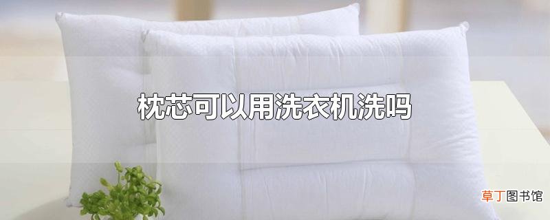 枕芯可以用洗衣机洗吗