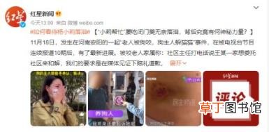 狗咬老人事件气哭记者 纪委介入 狗主人是什么身份呢？