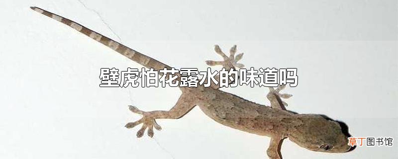 壁虎怕花露水的味道吗