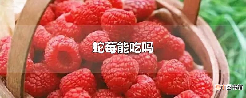 蛇莓能吃吗