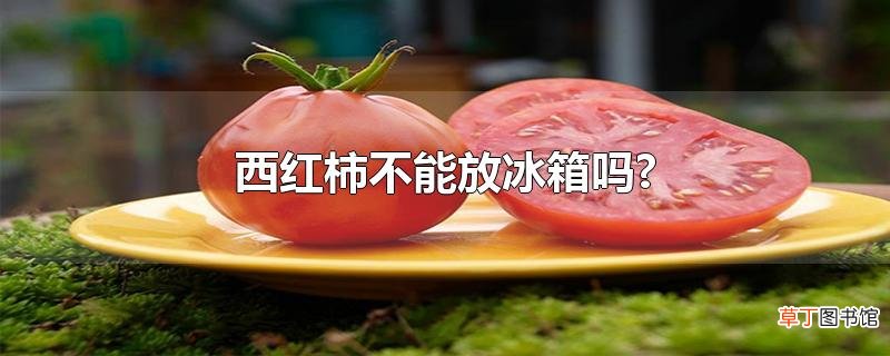 西红柿不能放冰箱吗?