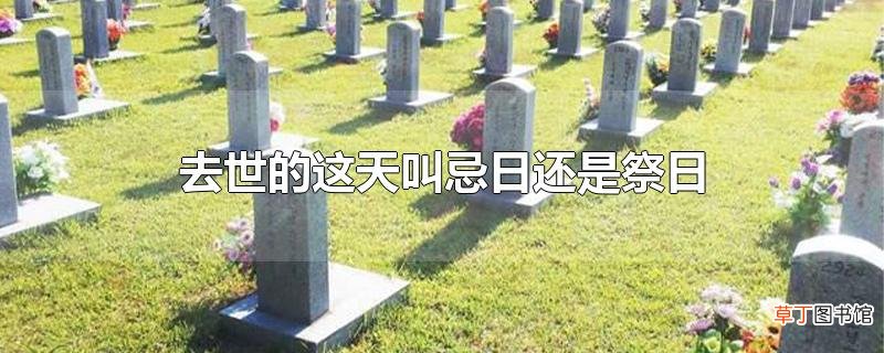 去世的这天叫忌日还是祭日