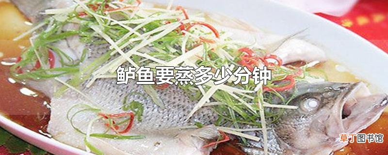 鲈鱼要蒸多少分钟