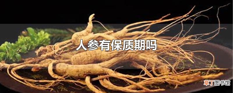 人参有保质期吗