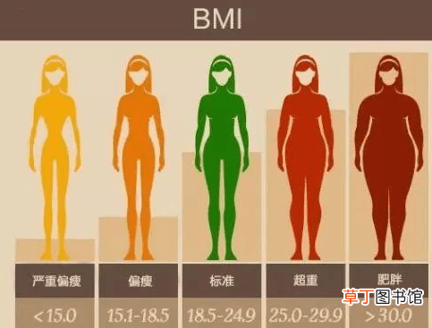 女性BMI指数多少合适-女性BMI健康指数介绍