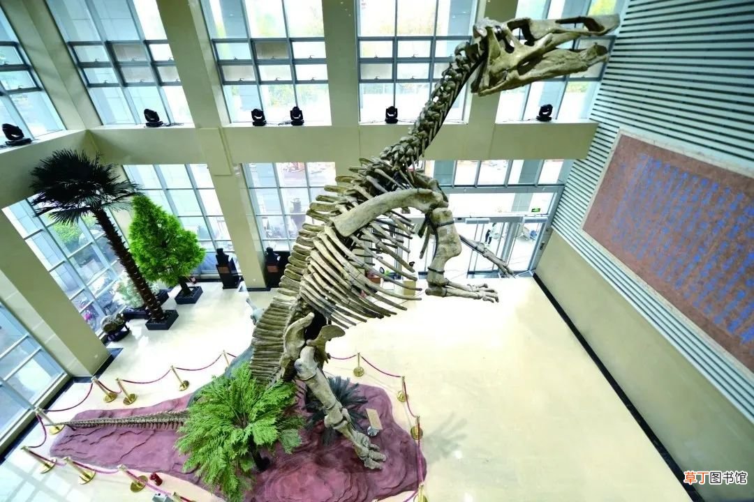 认识地质年代名称的 地质年代