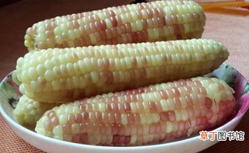 让煮熟的玉米保持鲜甜的小妙招 做成美味玉米炊饭