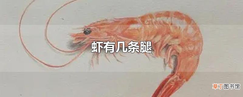虾有几条腿