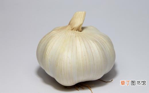 不是所有食物都适合放置冰箱不宜存放冰箱的食物