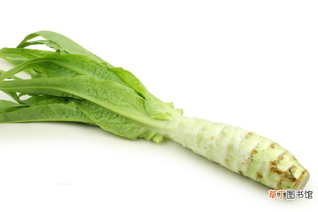 秋冬季节什么蔬菜吃了好？