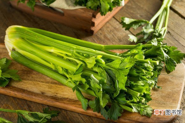 秋冬季节什么蔬菜吃了好？