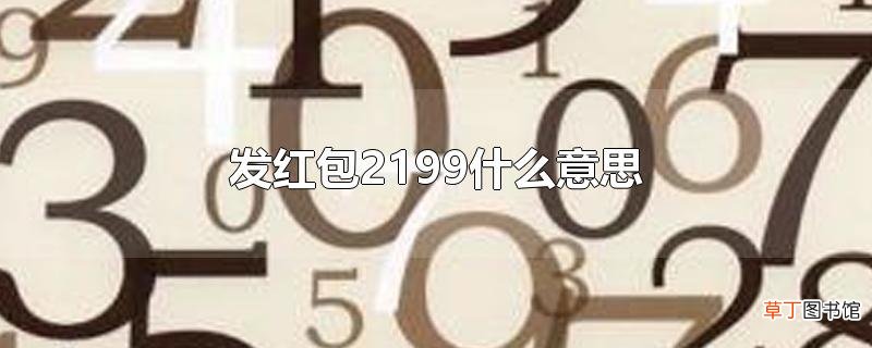 发红包2199什么意思
