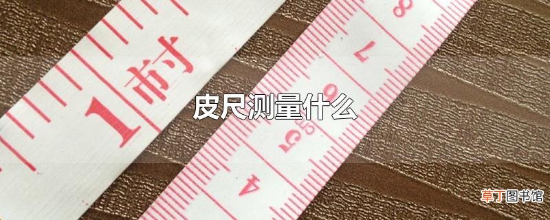 皮尺测量什么