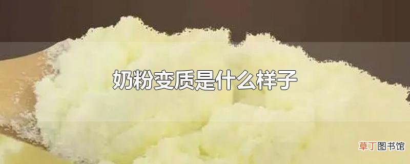 奶粉变质是什么样子