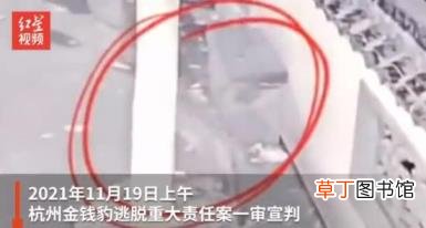 杭州动物园3只金钱豹逃脱 6人获刑 该事件最新进展如下!