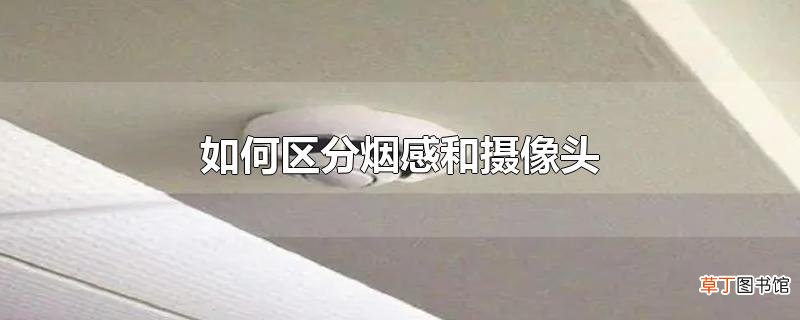 怎么区分烟感和摄像头