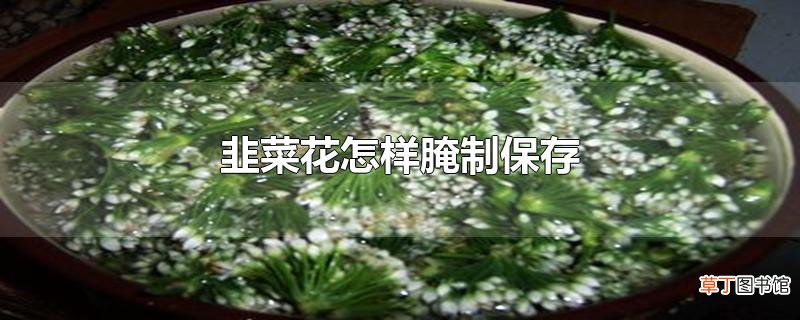 韭菜花怎样腌制保存