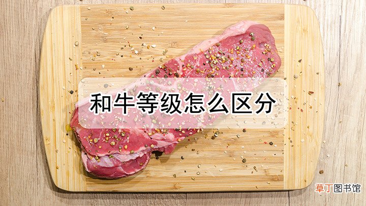 和牛等级如何区分