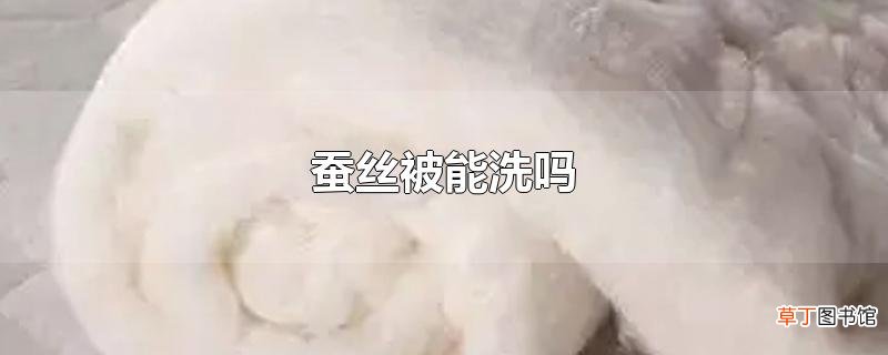 蚕丝被能洗吗