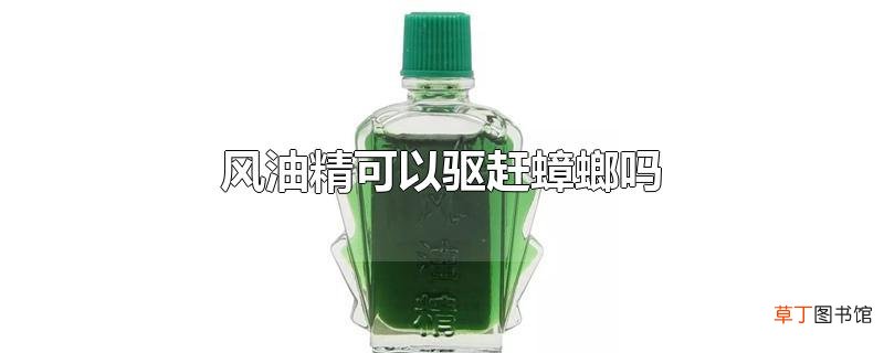 风油精可以驱赶蟑螂吗