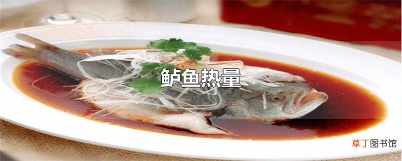 鲈鱼热量