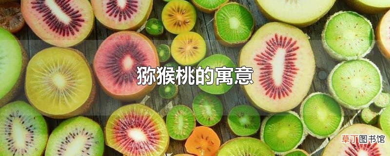 猕猴桃的寓意
