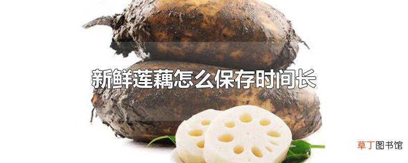 新鲜莲藕怎么保存时间长