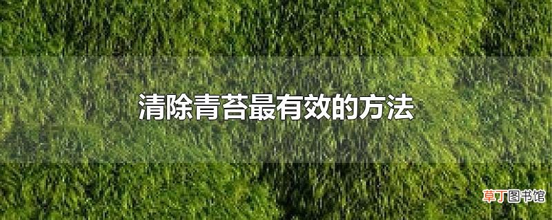 清除青苔最有效的方法
