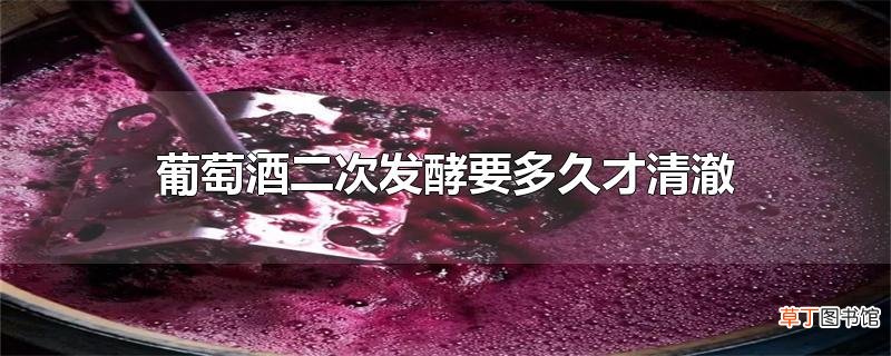 葡萄酒二次发酵要多久才清澈